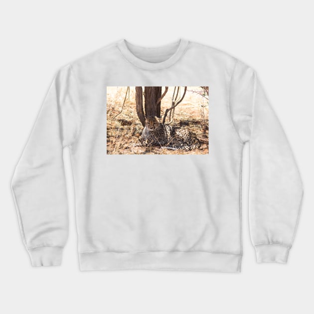 Cheetah under a tree Crewneck Sweatshirt by HazelWright